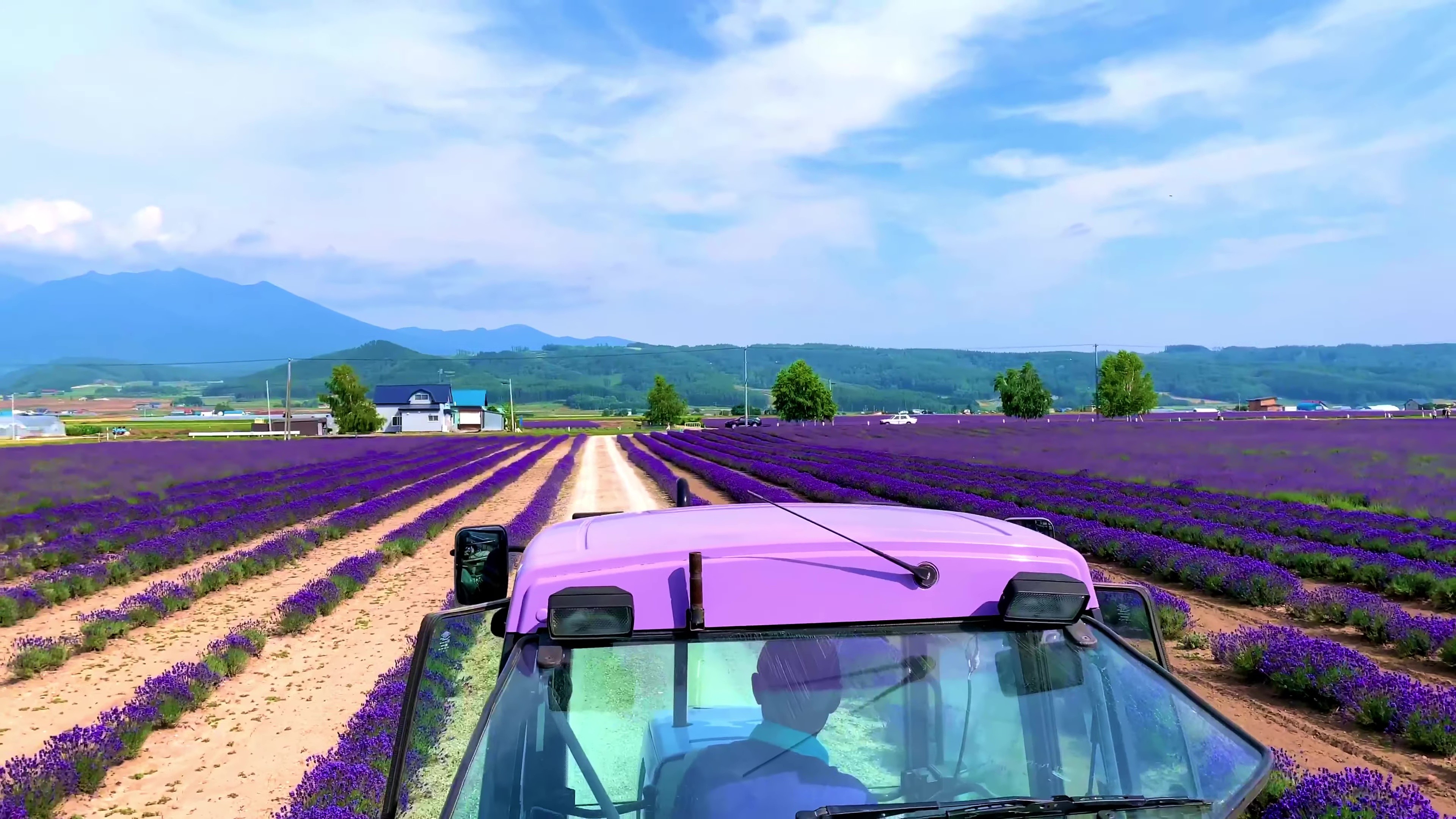 - Farm Tomita -
