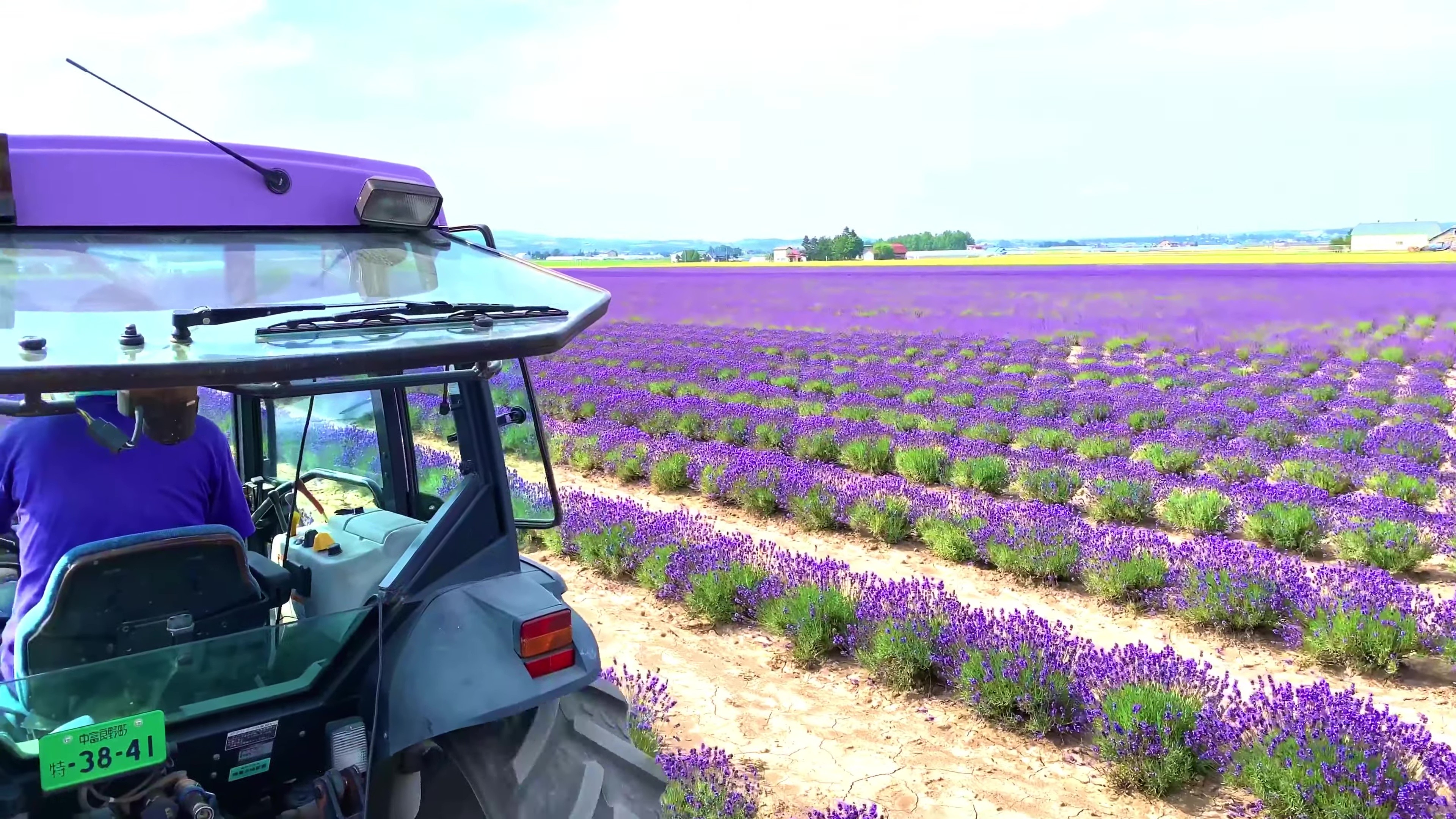 - Farm Tomita -