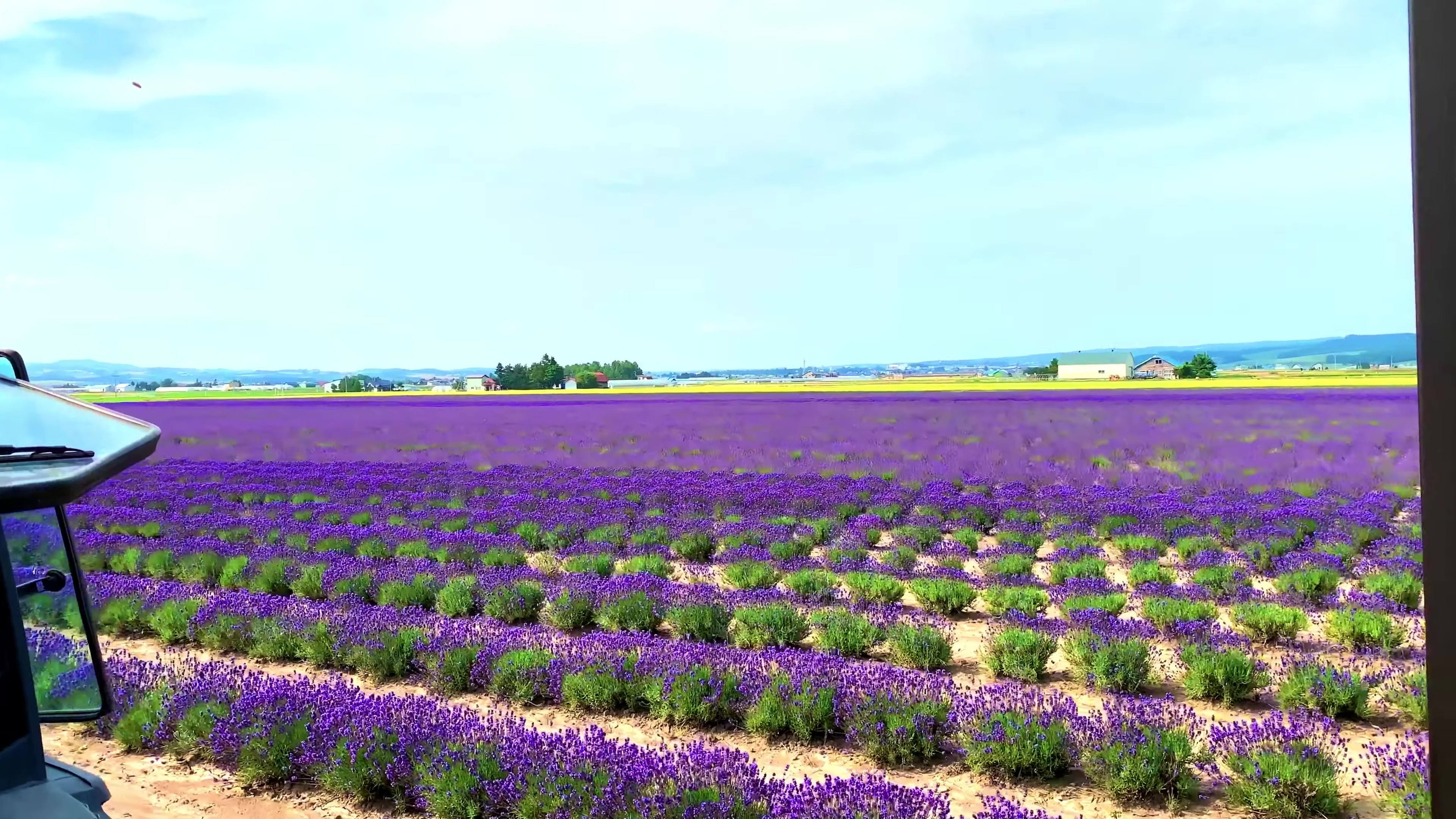 - Farm Tomita -