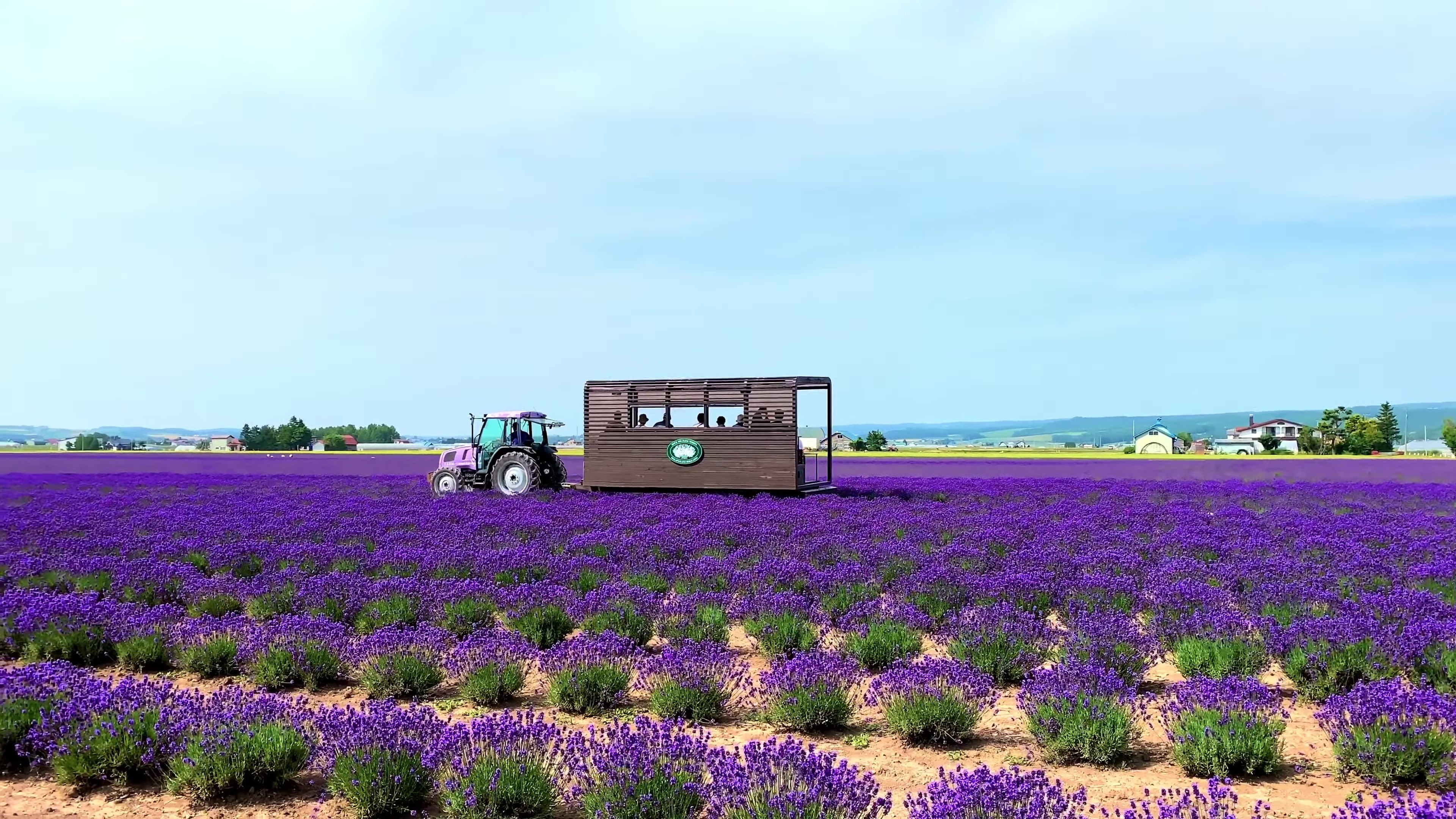 - Farm Tomita -