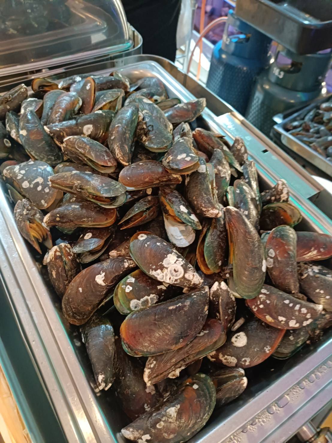 Dinner: วันปีใหม่ เคานท์ดาวน์!! THE LUXURY WHITE (โปรแกรม Celebrate New Year Eve 2026 Dinner Cruise) วันพุธ ที่ 31 ธันวาคม 2568