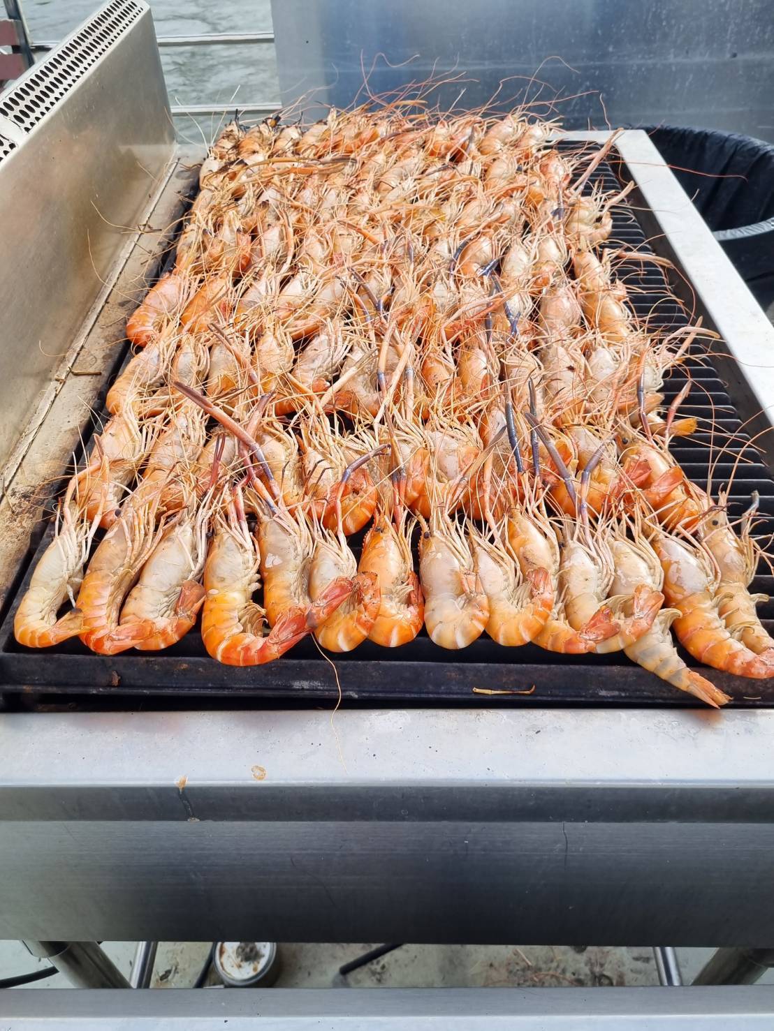 Dinner: วันปีใหม่ เคานท์ดาวน์!! THE LUXURY WHITE (โปรแกรม Celebrate New Year Eve 2026 Dinner Cruise) วันพุธ ที่ 31 ธันวาคม 2568