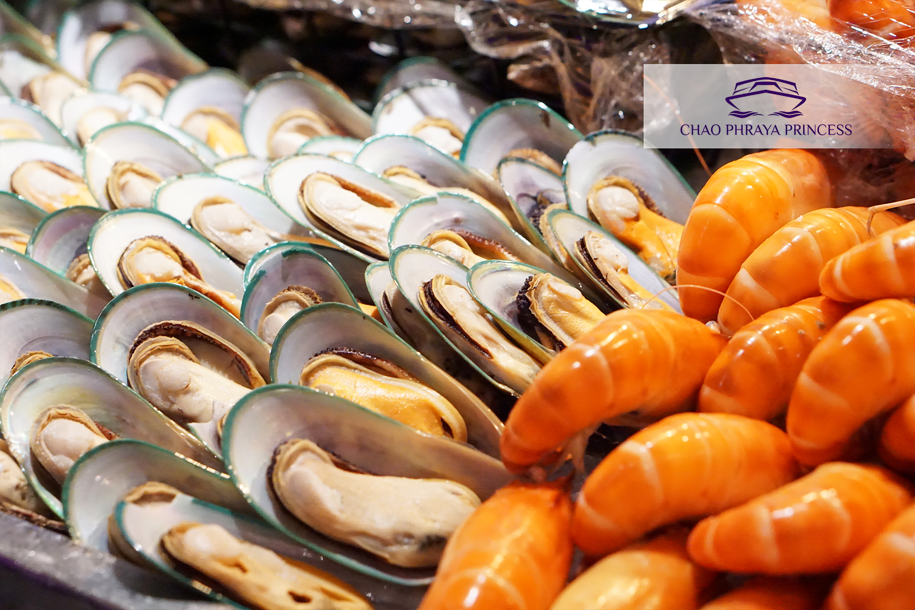 Dinner: เจ้าพระยา ChaophrayaPrincess Cruise (โปรแกรม Dinner Cruise)-ICON SIAM /ASIATIQUE Pier