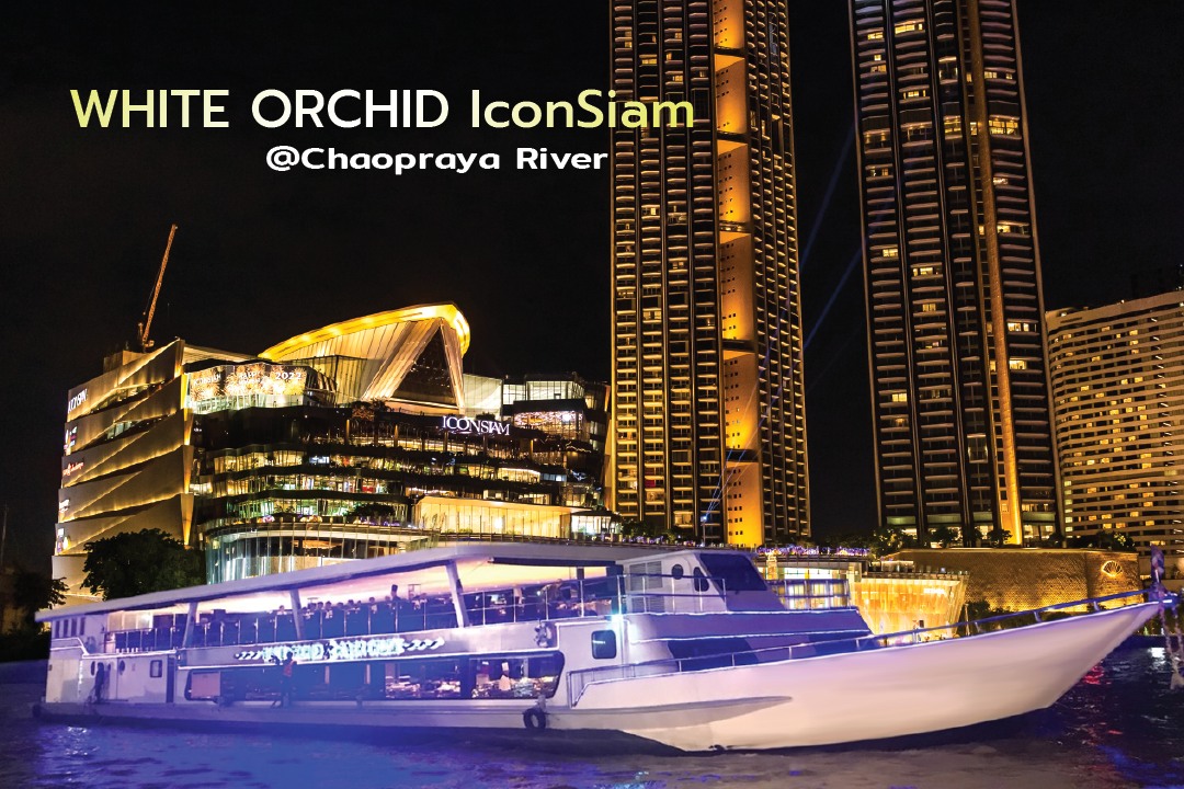 Dinner: วันวาเลนไทน์!! WHITE Orchid (โปรแกรม Valentines 2026 Dinner Cruise) วันเสาร์ ที่ 14 กุมภาพันธ์ 2569