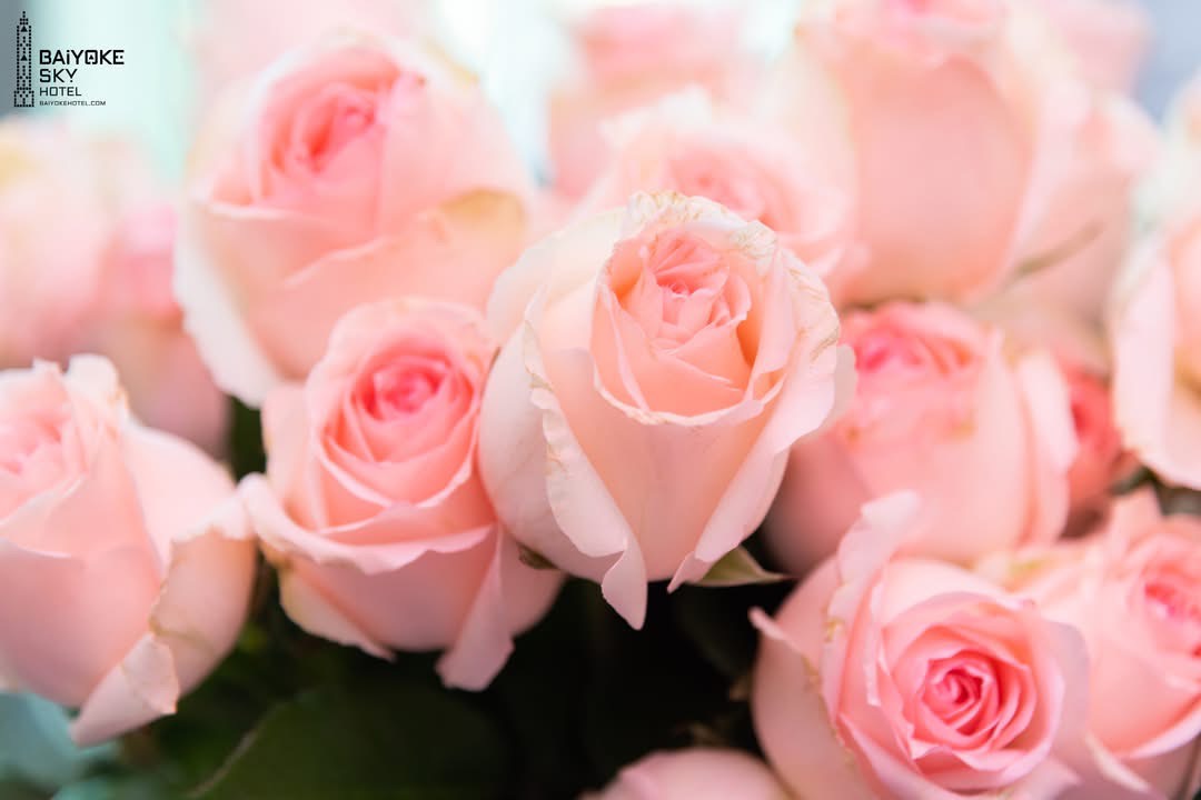 Dinner: วันวาเลนไทน์!! ตึกใบหยกสกาย Crystal Grill Restaurant ชั้น 82 – Special Menu & International Specialized Premium Seafood & Steak Buffet บุฟเฟ่ต์ไม่จำกัดเวลา วันเสาร์ ที่ 14 กุมภาพันธ์ 2569