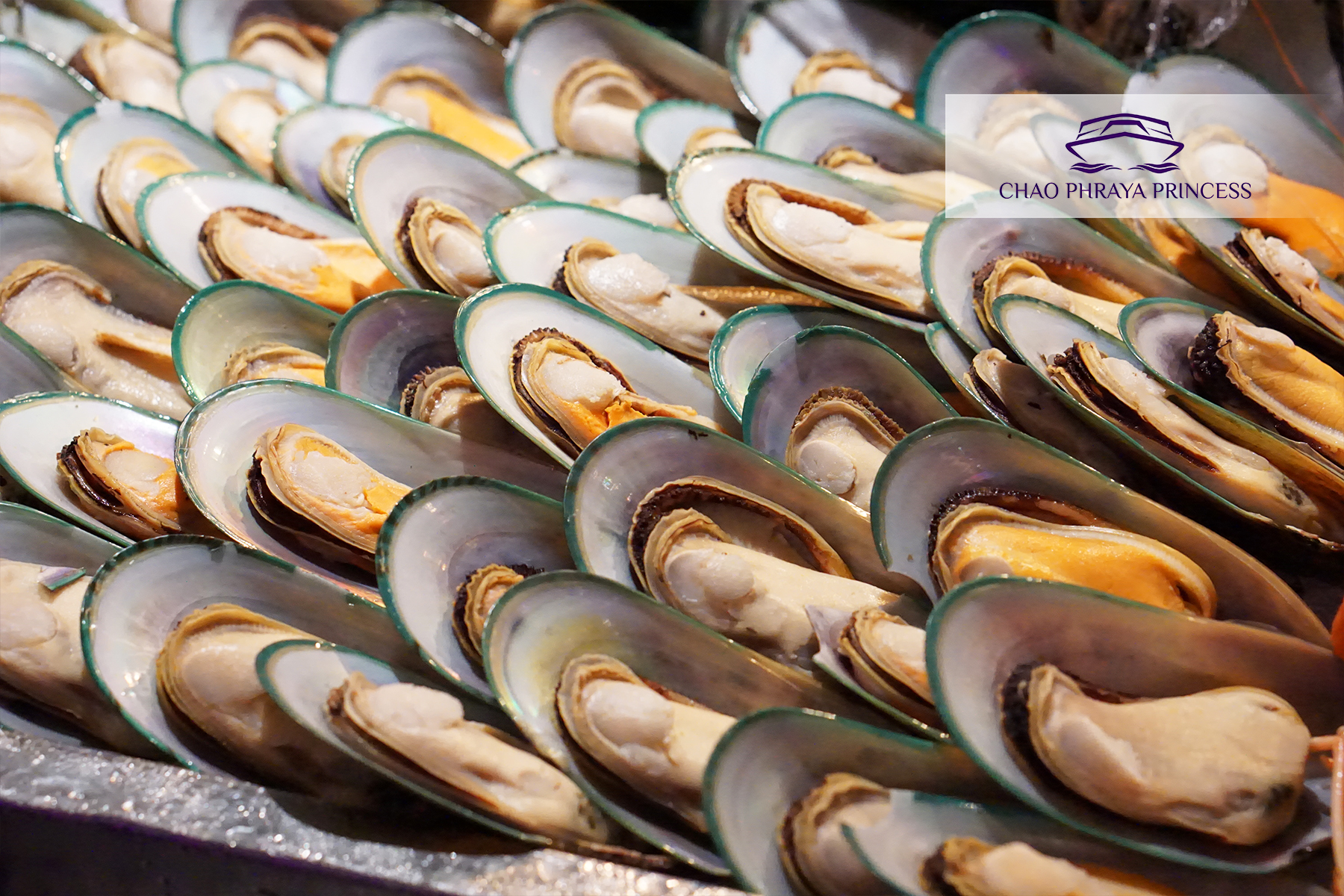 Dinner: เจ้าพระยา ChaophrayaPrincess Cruise (โปรแกรม Dinner Cruise)-ICON SIAM /ASIATIQUE Pier