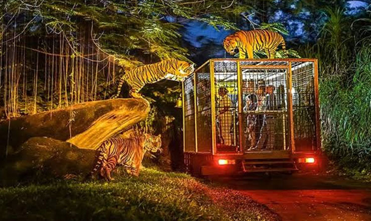 บัตรสวนสัตว์เปิดและศูนย์แสดงสัตว์ทะเลบาหลี (Bali Safari and Marine Park)