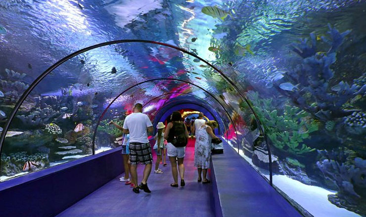 บัตรเข้าชมพิพิธภัณฑ์สัตว์น้ำอันตัลยาอควาเรียม (Antalya Aquarium)​
