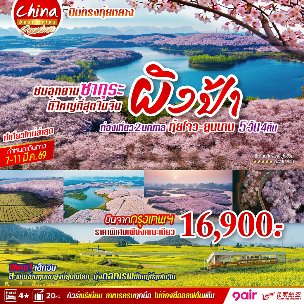 ทัวร์จีน ชมอุทยานซากุระที่ใหญ่ที่สุดในจีน ผิงป้า ท่องเที่ยว 2 มณฑล กุ้ยโจว - ยูนนาน บินตรงกุ้ยหยาง 5วัน 4คืน (AQ)