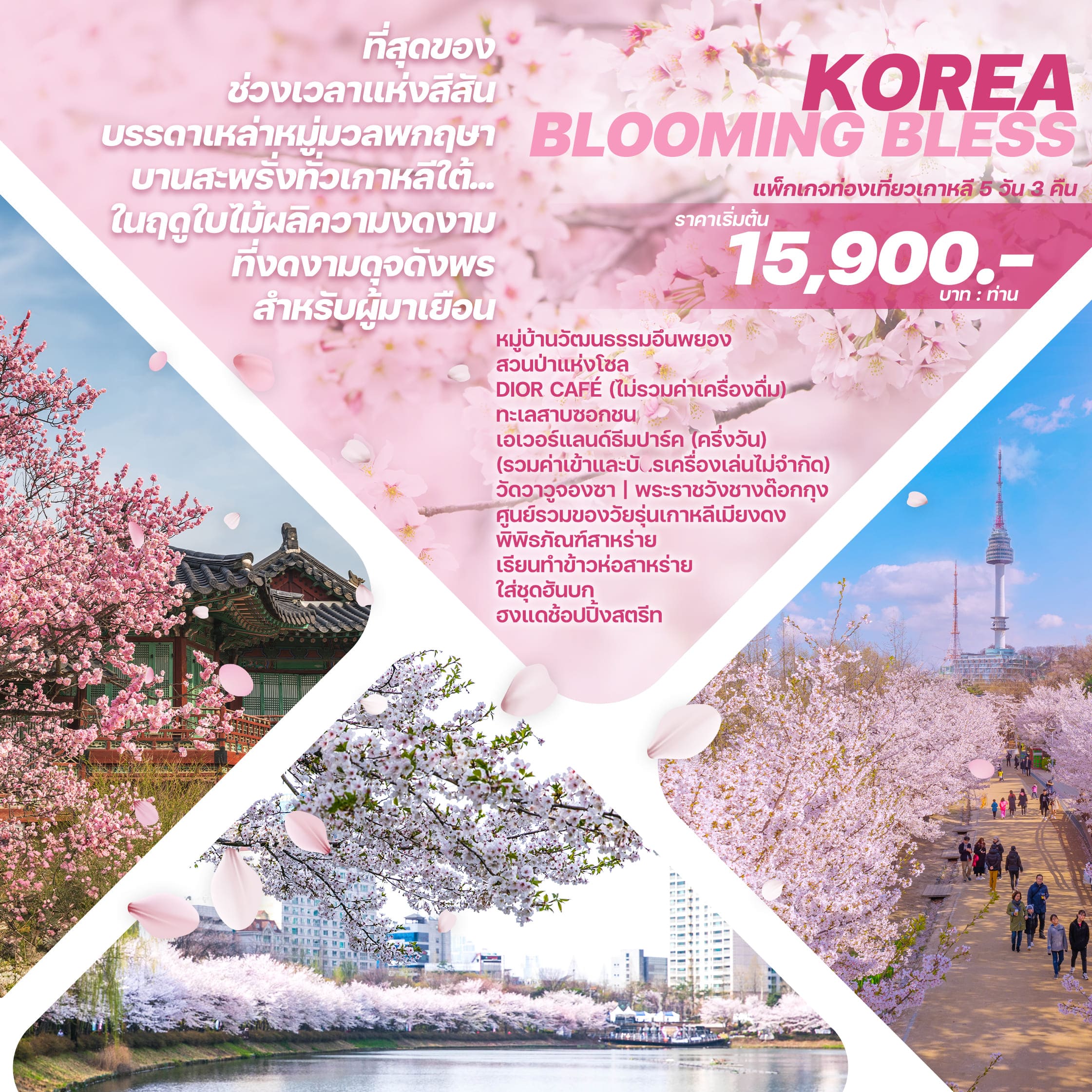 ทัวร์เกาหลี KOREA BLOOMING BLESS 5วัน 3คืน 7C