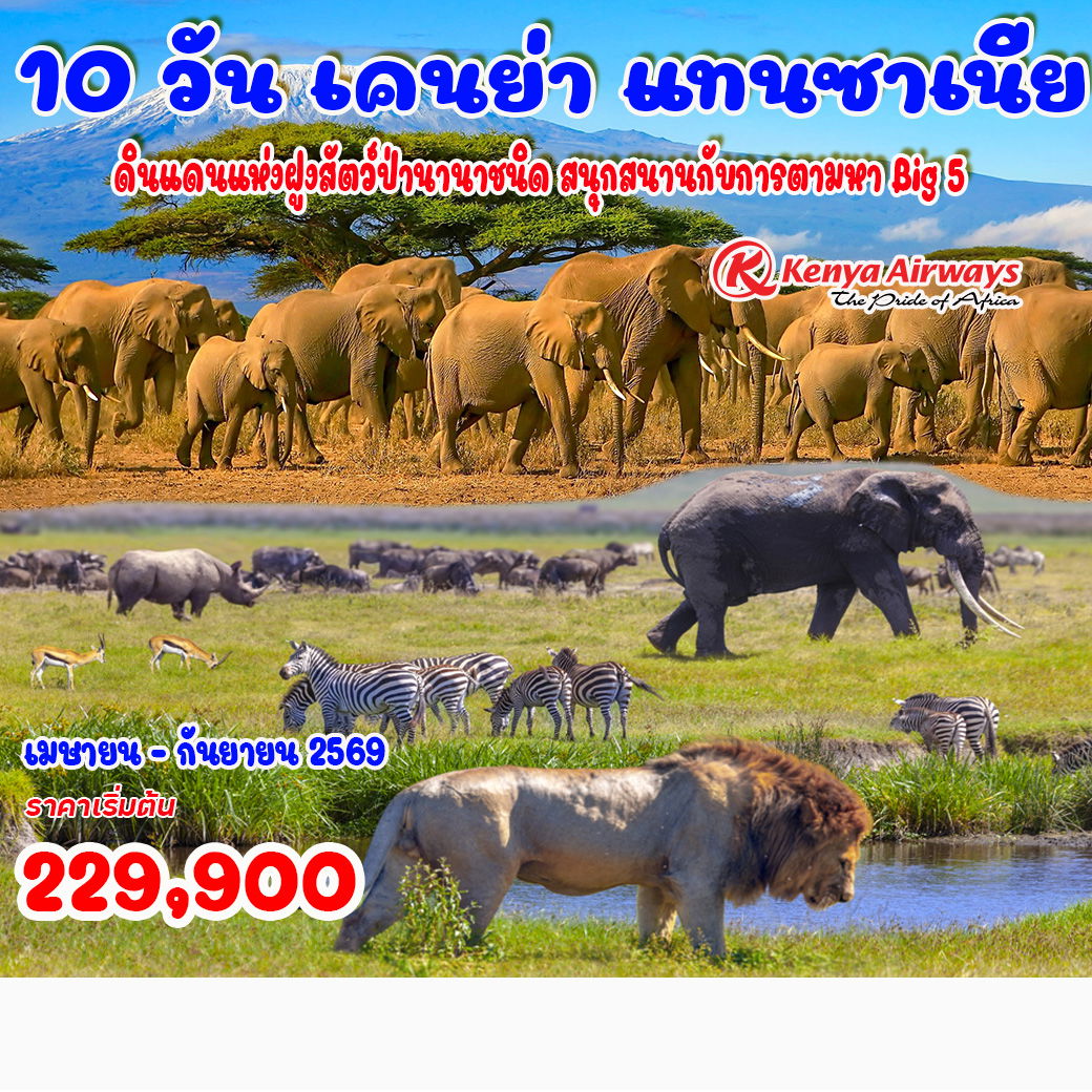 ทัวร์เคนย่า แทนซาเนีย  10วัน 7คืน  (KQ)