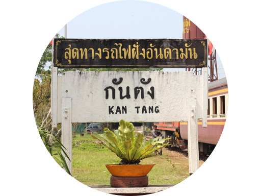ตรัง
